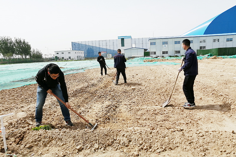 IMG_20210504_140403 (1).jpg