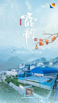 今日霜降丨愿你染尽霜华 心中温存如初